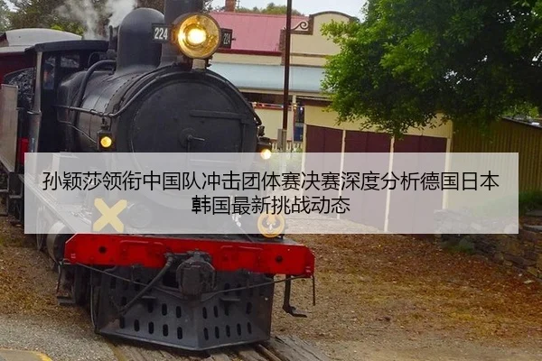 孙颖莎领衔中国队冲击团体赛决赛深度分析德国日本韩国最新挑战动态